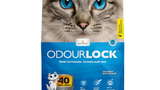 OdourLock Unscented vs Scented Cat Litter — Which Is Better for UAE Homes?