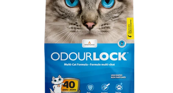 OdourLock Unscented vs Scented Cat Litter — Which Is Better for UAE Homes?