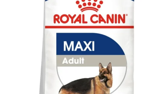 Pet Food Budgeting in Oman: How Much Should You Spend on Your Pet’s Nutrition?