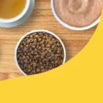 PetCentral UAE Expands Online Pet Food and Supplies Store to Oman and Qatar