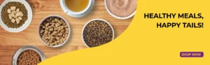 PetCentral UAE Expands Online Pet Food and Supplies Store to Oman and Qatar
