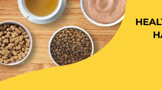 PetCentral UAE Expands Online Pet Food and Supplies Store to Oman and Qatar