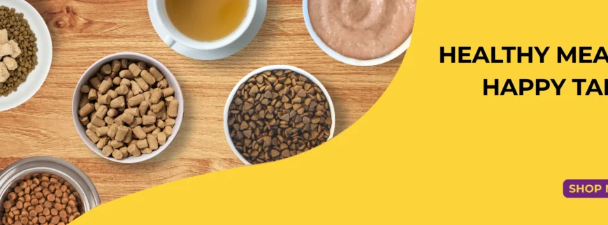 PetCentral UAE Expands Online Pet Food and Supplies Store to Oman and Qatar
