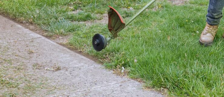 When Is the Best Time to Dethatch Your Lawn in Darwin?